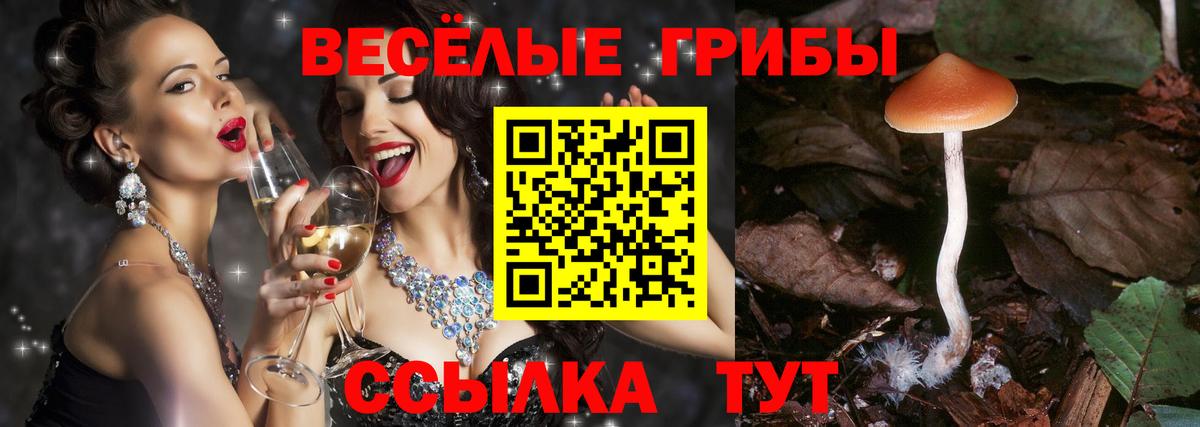 Галлюциногенные грибы GOLDEN TEACHER  Вход с VPN  Бугуруслан  Псилоцибиновые грибы GOLDEN TEACHER 